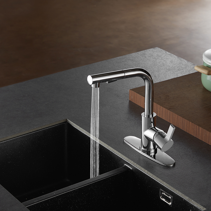 Pull Out Kitchen Faucet