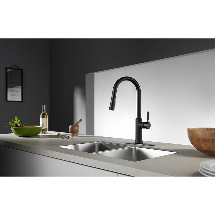 Kaiser LS2720DKL Single-Handle Pull-Down Kitchen Faucet, Matte Black