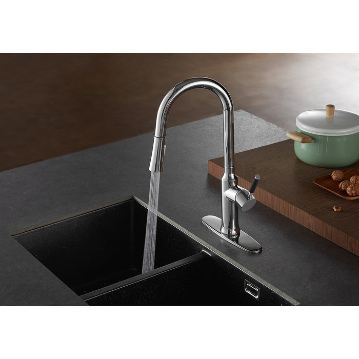 Kaiser LS2721DKL Single-Handle Pull-Down Kitchen Faucet, Polished Chrome