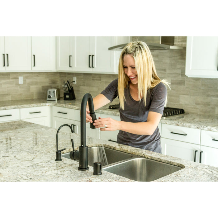 Concord LS8720DL Single-Handle Pull-Down Kitchen Faucet, Matte Black